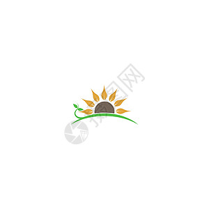 太阳花标志图标概念插图工作室摄影标识绿色叶子沙龙公司金融圆圈图片
