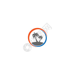 棕榈滩维生素标志概念菠萝热带水果情调椰子冷饮天堂派对叶子海洋图片