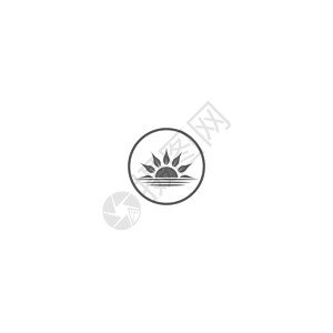 太阳花标志图标概念艺术金融工作室插图标识创造力叶子商业绿色圆圈图片