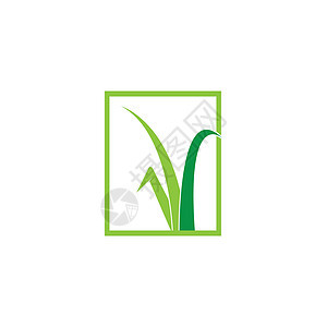 草标志 vecto创造力植物绿色白色生态商业叶子插图草地芦荟背景图片