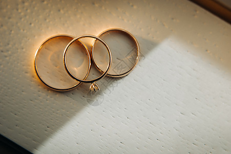 为婚礼特写了两个金婚戒的结婚戒指联盟艺术仪式古董庆典宏观设计金属婚姻恋人图片