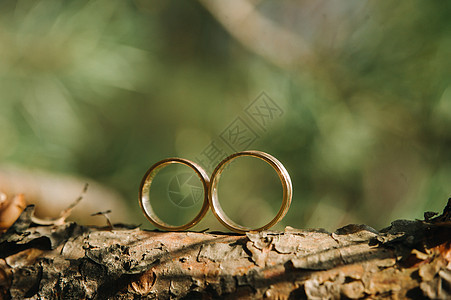 为婚礼特写了两个金婚戒的结婚戒指珠宝仪式树林恋人装饰金子婚姻设计艺术窗台图片