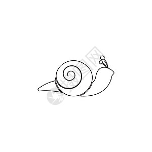 蜗牛标志模板 vecto水生动物鼻涕虫艺术商业卡通海鲜动物标识圆圈螺旋图片