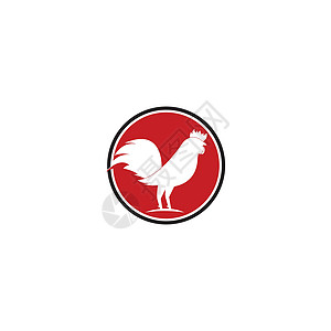 公鸡标志模板 vecto标识吉祥物农业白色黑色斗争十二生肖唱歌男性动物图片