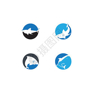 鲨鱼标志矢量模板危险旅行荒野潜水哺乳动物绘画捕食者鲸鱼野生动物游泳图片