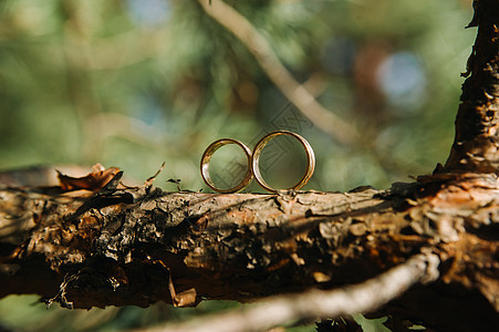 为婚礼特写了两个金婚戒的结婚戒指阳光装饰婚姻窗台恋人浪漫艺术联盟风格宏观图片