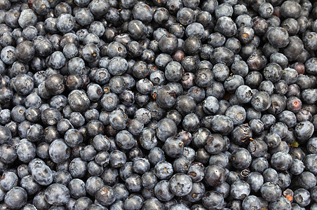 新鲜的蓝莓 蓝莓浆果的质地特写你园艺饮食生产水果维生素市场烹饪农民农业蓝色图片