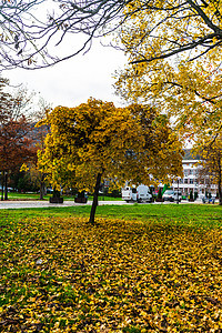 与落叶的秋天季节在秋天五颜六色的公园胡同 五颜六色的树木和落叶在秋天的公园 阳光明媚的日子里美丽的秋日小径框架金子橙子叶子小路晴图片
