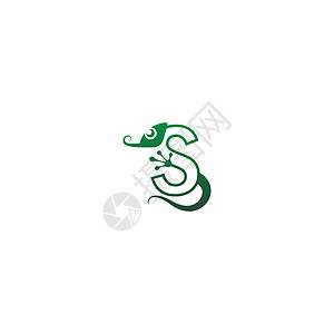 变色龙字体设计概念荒野青蛙字母卡通片标识坡度鬣蜥脚印壁虎艺术背景图片