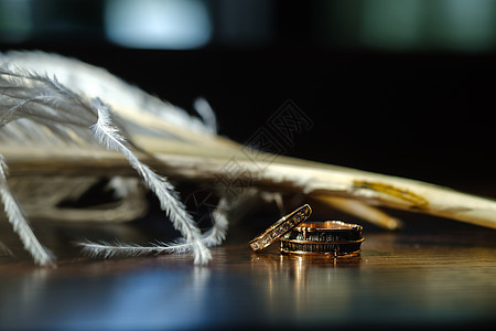 两个结婚戒指在白羽毛中 爱的概念是订婚羽毛庆典新娘钻石奢华广告礼物纪念日蕾丝图片