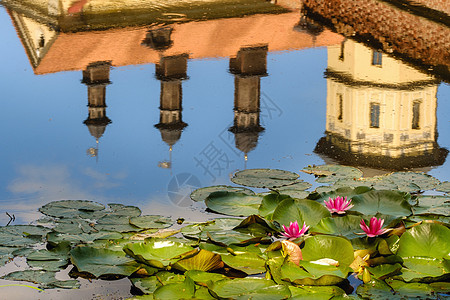 位于花园池塘的水里 反映内斯维日城堡的塔楼睡莲荷花生长植物学花瓣野花花朵公园百合叶子图片