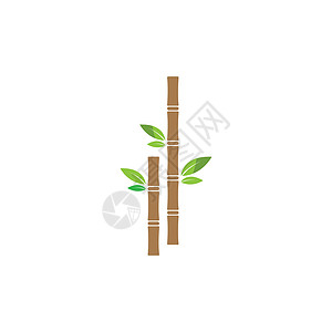 甘蔗植物标志 vecto插图叶子果汁农业颗粒状横幅产品收藏徽章食物图片