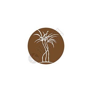 甘蔗植物标志 vecto叶子活力颗粒状标识木薯徽章农业热带标签收成图片