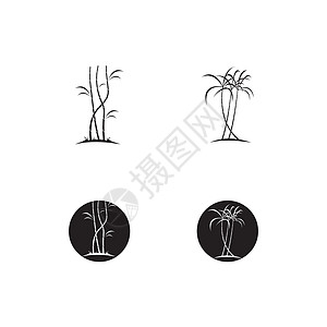 甘蔗植物标志 vecto标识贴纸棕榈活力标签颗粒状农业徽章收藏木薯图片