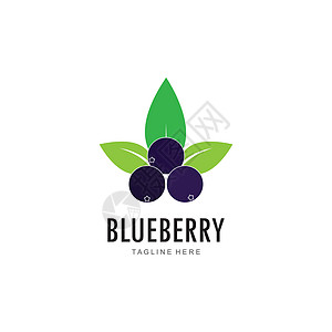 蓝莓标志矢量模板市场插图饮食标识村庄水果叶子菜单美食花园图片