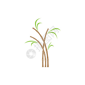 甘蔗植物标志 vecto叶子插图棕榈木薯颗粒状生物果汁生产收成活力图片