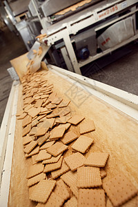 工厂里做饼干的机器团体技术商业巧克力烘烤生产食品加工输送带食物工作图片