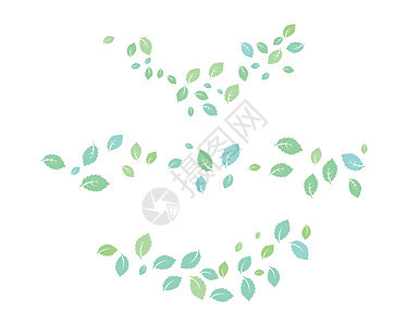薄荷叶平面矢量 ico标识植物群食物芳香插图艺术树叶植物香料生态背景图片