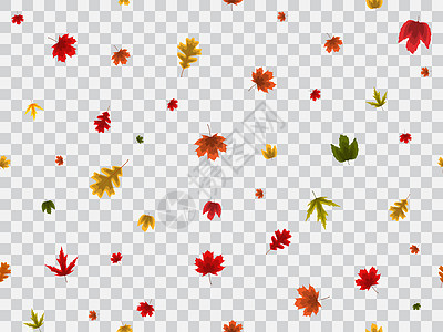 透明背景矢量图上的秋叶无缝图案黄色红色插图艺术装饰品叶子墙纸树叶植物季节图片