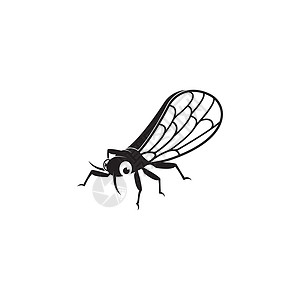 蝉标志矢量图标模板漏洞害虫宏观海报打印昆虫生物学荒野野生动物翅膀图片