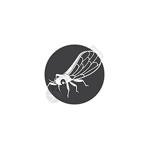 蝉标志矢量图标模板绘画生物学昆虫宏观森林眼睛蝴蝶荒野翅膀蚀刻图片