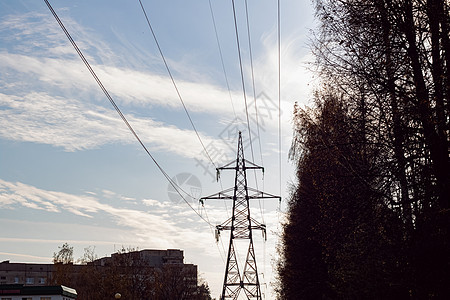 蓝色天空背景上带电线和树枝的柱子支柱活力城市网络街道危险力量工业电压技术电气图片