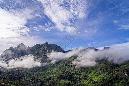 青山风光 漫山遍野有雾气 天蓝云白图片