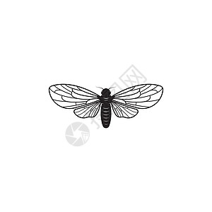 蝉标志矢量图标模板动物蜜蜂森林宏观翅膀昆虫艺术卡通片眼睛野生动物图片