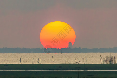 大日出是橙色的 日出在海面和红树林上天空天文学旅行黄色海洋反射太阳光线海浪夕阳地平线图片