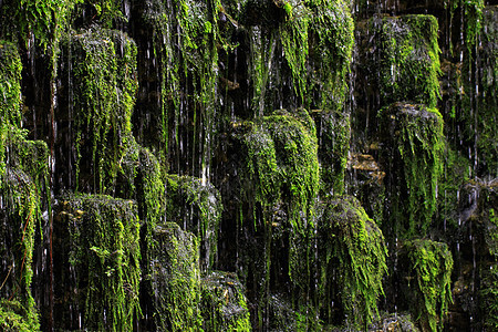 瀑布与植物在花园石墙上的形象喷泉反射叶子石头岩石公园苔藓花园旅行液体图片