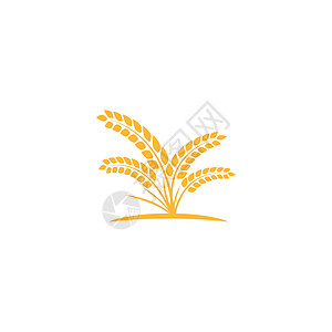 小麦 Logo 模板矢量符号面包耳朵谷物粮食收成植物农场农业食物营养图片