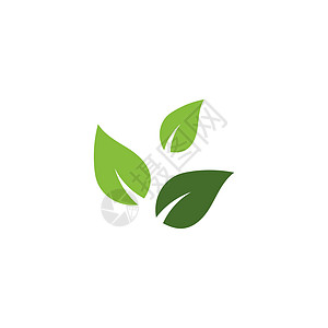 叶生态标志模板 vecto网络插图白色叶子生活绿色植物环境背景图片