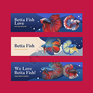 带斗鱼概念的横幅模板 水彩风格行动营销水族馆情调野生动物异国宠物插图广告游泳图片