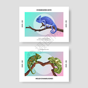带有变色龙蜥蜴概念的明信片模板 水彩风格营销广告荒野野生动物卡片热带宠物情调问候语生物图片