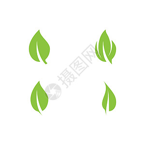 设置叶生态标志模板 vecto生活叶子环境绿色网络白色植物插图背景图片