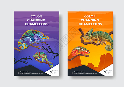 带有变色龙蜥蜴概念的海报模板 水彩风格舌头小册子营销动物园异国传单插图情调皮肤荒野图片