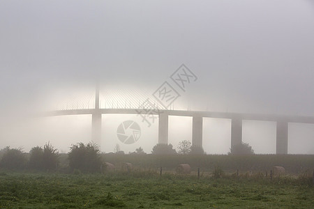 薄雾日出时在弗朗西黑河沿岸的布罗通河上建筑学汽车交通全景建筑混凝土工程基础设施运输结构图片