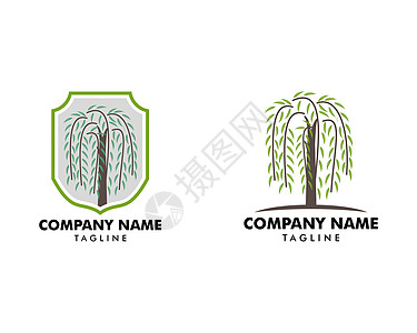 一套柳树符号标志 Vecto图片