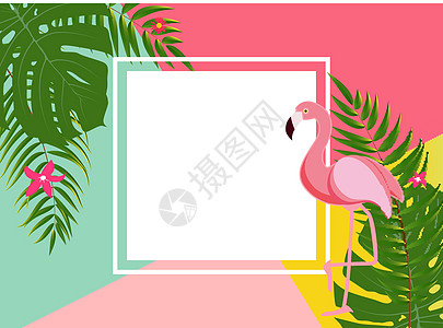可爱的夏季抽象框架背景与粉红色的火烈鸟矢量它制作图案羽毛荒野墙纸丛林情调动物园天堂薄荷织物异国图片