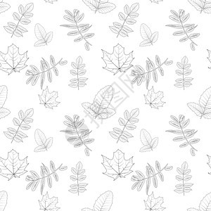在白色的自然主义秋叶 无缝模式 矢量插图季节艺术棕榈花园植物树叶森林背景图片