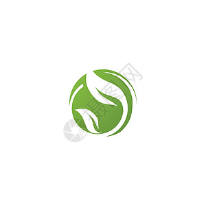 叶生态标志模板 vecto植物绿色叶子网络插图生活环境白色背景图片
