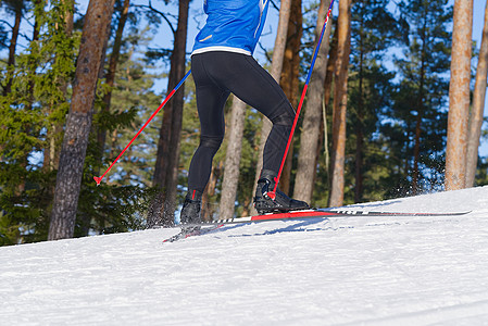 在阳光明媚的冬季日子里 跨国滑雪 跨国家滑雪 近距离接近晴天成人竞赛蓝色滑雪者森林女士行动跑步爱好图片