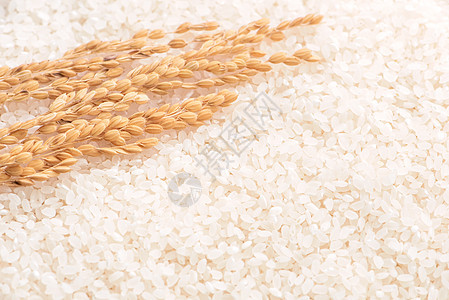 棕色农业设计理念中白色背景的生白精磨可食用稻米作物 亚洲的主食特写植物种子篮子寿司美食食物木头粮食谷物稻田图片