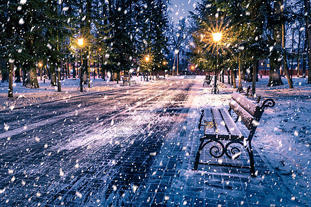 冬季公园的雪花在夜间 圣诞节装饰 灯光和人行道都布满了雪季节灯笼彩灯场景胡同路灯天气圣诞路面降雪图片