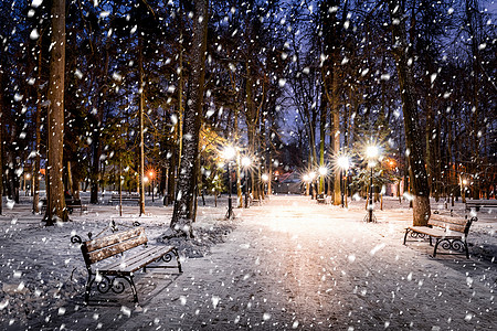 冬季公园的雪花在夜间 圣诞节装饰 灯光和人行道都布满了雪场景天气灯笼冻结圣诞长椅雪景公共公园城市季节图片