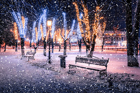 冬季夜间公园下雪 有圣诞节装饰品 灯光 铺满雪和树木的行人道季节装饰城市公共公园胡同路灯灯笼圣诞人行道调子图片