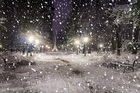 冬季公园的雪花在夜间 圣诞节装饰 灯光和人行道都布满了雪冻结降雪路面雪景灯笼天气季节胡同圣诞彩灯图片