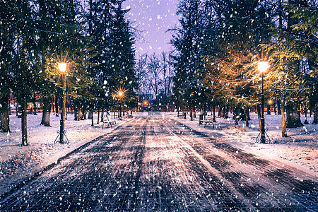 冬季公园的雪花在夜间 圣诞节装饰 灯光和人行道都布满了雪长椅城市胡同路面灯笼季节降雪冻结路灯圣诞图片