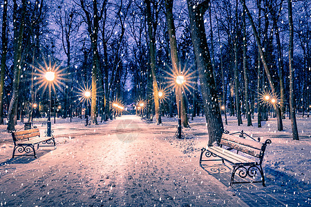 冬季公园的雪花在夜间 圣诞节装饰 灯光和人行道都布满了雪圣诞季节公共公园长椅城市路灯降雪灯笼场景胡同背景图片