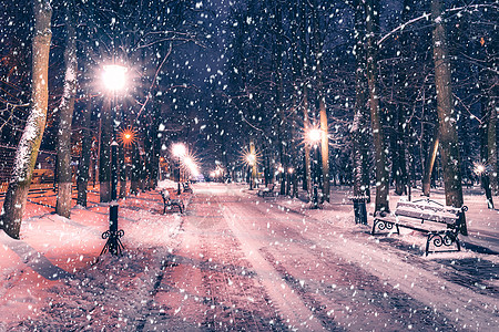 冬季公园的雪花在夜间 圣诞节装饰 灯光和人行道都布满了雪公共公园天气长椅路灯雪景城市路面圣诞胡同季节图片